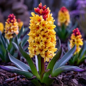 Гиацинт Миднайт Мистери купить по цене от 2099р. в интернет-магазине «Посадика» с доставкой почтой в в Комсомольске и по всей России – [изображение №1].